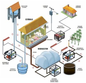 Esquema ligação biogás